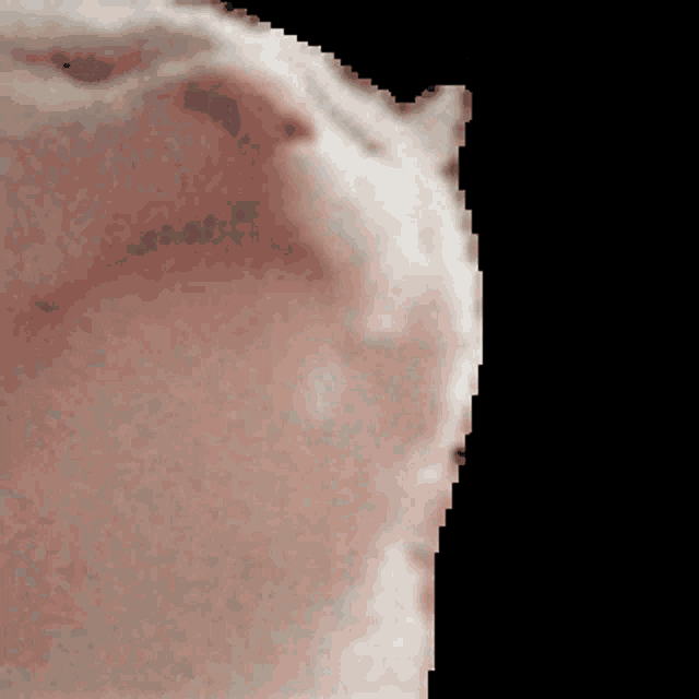 Catjam Twitch Emote Meaning, Origin & How To Use - Get On Stream