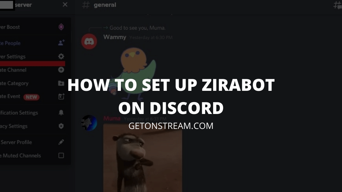 How to Set Up Zira Bot on Discord [Easy Guide] Get On Stream